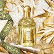 عطر ادکلن گرلن آکوا الگوریا فورته نرولیا وتیور ادوپرفیوم مردانه-زنانه Guerlain  Aqua Allegoria Forte Nerolia Vetiver Unisex EDP