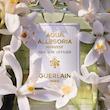 عطر ادکلن گرلن آکوا الگوریا نرولیا وتیور هاروست ادوتویلت مردانه-زنانه Guerlain Aqua Allegoria Nerolia Vetiver Harvest Unisex EDT