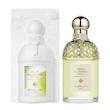 عطر ادکلن گرلن آکوا الگوریا نرولیا وتیور هاروست ادوتویلت مردانه-زنانه Guerlain Aqua Allegoria Nerolia Vetiver Harvest Unisex EDT