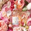 عطر ادکلن گرلن آکوا الگوریا هاروست رزا رزا ادوپرفیوم مردانه-زنانه Guerlain Aqua Allegoria Harvest Rosa Rossa Unisex EDP
