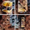 عطر ادکلن بولگاری تایگار ایکس رفیک انادول ادوپرفیوم مردانه Bvlgari Tygar x Refik Anadol for Men EDP