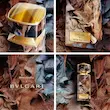 عطر ادکلن بولگاری تایگار ایکس رفیک انادول ادوپرفیوم مردانه Bvlgari Tygar x Refik Anadol for Men EDP