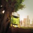 عطر ادکلن بولگاری من وود نرولی ادوپرفیوم مردانه Bvlgari Man Wood Neroli for Men EDP