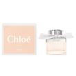 عطر ادکلن کلوهه کلوهه ادوتویلت زنانه Chloe Chloe Eau de Toilette for Woman