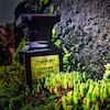 عطر ادکلن تام فورد توسکان لدر ادوپرفیوم مردانه-زنانه Tom Ford Tuscan Leather Unisex EDP