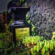 عطر ادکلن تام فورد توسکان لدر ادوپرفیوم مردانه-زنانه Tom Ford Tuscan Leather Unisex EDP