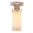 عطر ادکلن ایو سن لورن (وای اس ال) وایس ورسا ادوتویلت زنانه Yves Saint Laurent Vice Versa for Women EDT