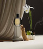 عطر ادکلن دیپتیک اوپسیس ادوپرفیوم مردانه-زنانه Diptyque Opsis Unisex EDP