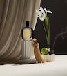 عطر ادکلن دیپتیک اوپسیس ادوپرفیوم مردانه-زنانه Diptyque Opsis Unisex EDP