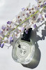 عطر ادکلن دیپتیک اولین-اولنه 1988 ادوتویلت زنانه Diptyque Olene 1988 for Women EDT