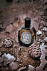 عطر ادکلن دیپتیک تمپو ادوپرفیوم مردانه-زنانه Diptyque Tempo Unisex EDP