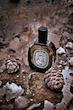 عطر ادکلن دیپتیک تمپو ادوپرفیوم مردانه-زنانه Diptyque Tempo Unisex EDP