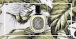 عطر ادکلن دیپتیک وتیوریو ادوپرفیوم مردانه-زنانه Diptyque Vetyverio Unisex EDP