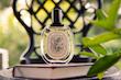 عطر ادکلن دیپتیک وتیوریو ادوتویلت مردانه-زنانه Diptyque Vetyverio Unisex EDT