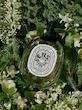 عطر ادکلن دیپتیک او دس سنس ادوتویلت مردانه-زنانه Diptyque Eau des Sens Unisex EDT