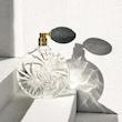 عطر ادکلن دیپتیک اسنسز اینسنسیز تیاره ادوپرفیوم مردانه-زنانه Diptyque Essences Insensees 2015 Tiare Unisex EDP