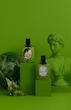 عطر ادکلن دیپتیک او د مینثه-او د مینث ادوپرفیوم مردانه-زنانه Diptyque Eau de Minthé Unisex EDP