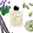عطر ادکلن دیپتیک لیلیفا-لیلیفه ادوپرفیوم مردانه-زنانه Diptyque Lilyphéa Unisex EDP