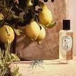 عطر ادکلن دیپتیک سیترونله اند گرانیوم ادوپرفیوم مردانه-زنانه Diptyque Citronnelle & Geranium Unisex EDP
