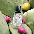 عطر ادکلن دیپتیک ایلیو ادتویلت مردانه-زنانه Diptyque Ilio Unisex EDT