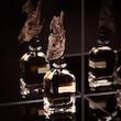 عطر ادکلن اورتو پاریسی بروتوس ادوپرفیوم مردانه-زنانه Orto Parisi Brutus Unisex EDP