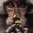 عطر ادکلن اورتو پاریسی ریسولیوم اکستریت د پارفوم مردانه-زنانه Orto Parisi Risvelium Extrait de Parfum Unisex