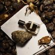 عطر ادکلن اورتو پاریسی استرکوس اکستریت د پارفوم مردانه-زنانه Orto Parisi Stercus Extrait de Parfum Unisex