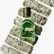 عطر ادکلن اورتو پاریسی ویرید-ویریده اکستریت د پارفوم مردانه-زنانه Orto Parisi Viride Extrait de Parfum Unisex