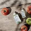 عطر ادکلن میسون مارتین مارجیلا رپلیکا فرام د گاردن ادوتویلت مردانه-زنانه Maison Martin Margiela Replica From the Garden Unisex EDT