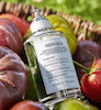 عطر ادکلن میسون مارتین مارجیلا رپلیکا فرام د گاردن ادوتویلت مردانه-زنانه Maison Martin Margiela Replica From the Garden Unisex EDT