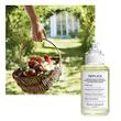 عطر ادکلن میسون مارتین مارجیلا رپلیکا فرام د گاردن ادوتویلت مردانه-زنانه Maison Martin Margiela Replica From the Garden Unisex EDT