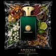 عطر ادکلن آمواج اپیک ادوپرفیوم مردانه Amouage Epic for Men EDP