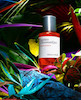 عطر ادکلن میسون کریولی آمبر کروماتیک اکستریت د پرفیوم مردانه-زنانه Maison Crivelli Ambre Chromatique Extrait de Parfum Unisex