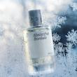 عطر ادکلن میسون کریولی ابسنت بورئال ادوپرفیوم مردانه-زنانه Maison Crivelli Absinthe Boréale Unisex EDP