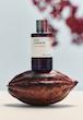 عطر ادکلن میسون کریولی عود کادنزا اکستریت د پرفیوم مردانه-زنانه Maison Crivelli Oud Cadenza Extrait de Parfum Unisex