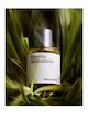 عطر ادکلن میسون کریولی پاپیروس مولکولر ادوپرفیوم مردانه-زنانه Maison Crivelli Papyrus Moléculaire Unisex EDP