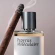 عطر ادکلن میسون کریولی پاپیروس مولکولر ادوپرفیوم مردانه-زنانه Maison Crivelli Papyrus Moléculaire Unisex EDP