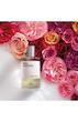 عطر ادکلن میسون کریولی رز سالتیفولیا ادوپرفیوم مردانه-زنانه Maison Crivelli Rose SaltifOlia Unisex EDP