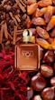 عطر ادکلن جورجیو آرمانی امپریو آرمانی استرانگر ویت یو اسپایسس ادوپرفیوم مردانه Giorgio Armani Emporio Armani Stronger With You Spices for Men