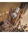 عطر ادکلن دولچه اند گابانا دووشن پور هوم پارفوم-پرفیوم مردانه Dolce & Gabbana Devotion Pour Homme Parfum for Men