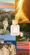 عطر ادکلن میسون فرانسیس کورکجان آمیریس فمه اکستریت د پارفوم زنانه Maison Francis Kurkdjian Amyris Femme Extrait de Parfum for Women