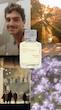 عطر ادکلن میسون فرانسیس کورکجان آمیریس هوم ادوپرفیوم مردانه Maison Francis Kurkdjian Amyris Homme for Men EDP