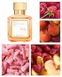 عطر ادکلن میسون فرانسیس کورکجان کورکی ادوپرفیوم مردانه-زنانه Maison Francis Kurkdjian Kurky Unisex EDP
