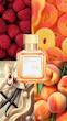عطر ادکلن میسون فرانسیس کورکجان کورکی ادوپرفیوم مردانه-زنانه Maison Francis Kurkdjian Kurky Unisex EDP