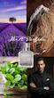 عطر ادکلن میسون فرانسیس کورکجان ماسکولین پلوریل ادوتویلت مردانه Maison Francis Kurkdjian Masculin Pluriel for Men EDT