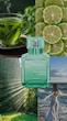 عطر ادکلن میسون فرانسیس کورکجان آکوا مدیا کلون فورته ادوپرفیوم مردانه-زنانه Maison Francis Kurkdjian Aqua Media Cologne Forte Unisex EDP