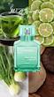 عطر ادکلن میسون فرانسیس کورکجان آکوا مدیا کلون فورته ادوپرفیوم مردانه-زنانه Maison Francis Kurkdjian Aqua Media Cologne Forte Unisex EDP