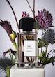 عطر ادکلن بی دی کی پارفومز گریس چارنل ادوپرفیوم مردانه-زنانه BDK Parfums Gris Charnel Unisex EDP