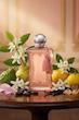 عطر ادکلن پرفیومز د مارلی آتنایس ادوپرفیوم زنانه Parfums de Marly Athénaïs for Women EDP