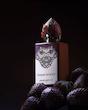 عطر ادکلن استفان هامبرت لوکاس 777 ونوم اینکارنات ادوپرفیوم مردانه-زنانه Stéphane Humbert Lucas 777 Venom Incarnat Unisex EDP